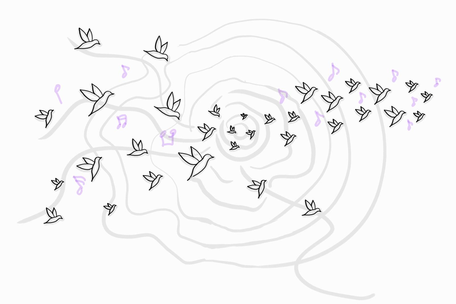 Image for embodied complexity